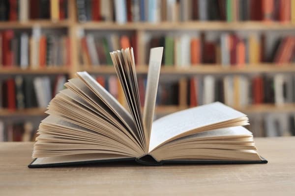 Organic Basmati Rice